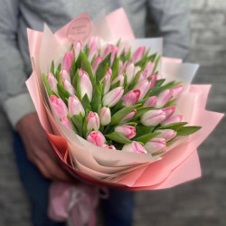 35 нежно-розовых тюльпанов