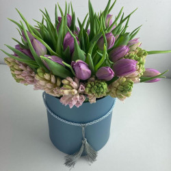 Тюльпаны и гиацинты в шляпной коробке